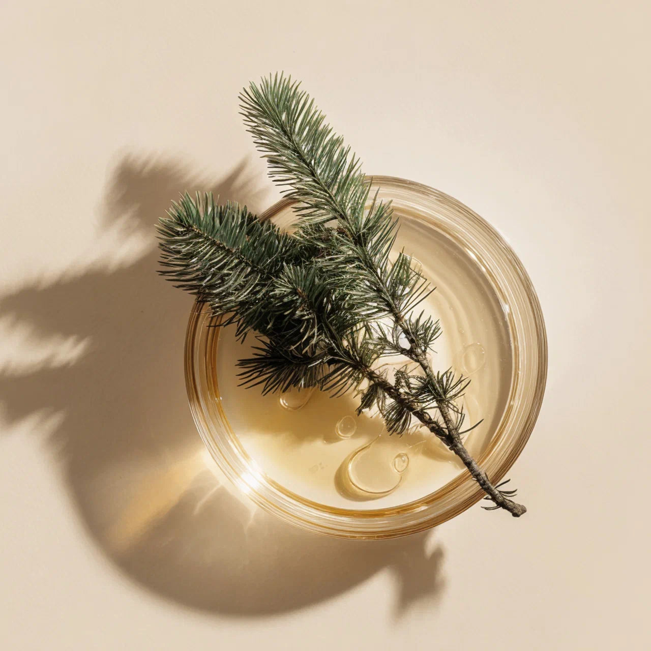Balance Sauna-Aufguss